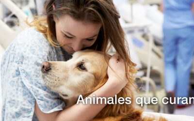 Terapia Asistida con Animales