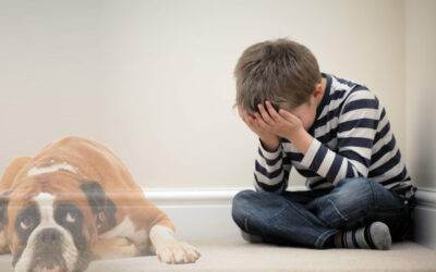 ¿Cómo explicar a los niños el fallecimiento de la mascota?
